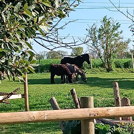 Domaine de karoli Otel Barneville-sur-Seine Dış mekan fotoğraf